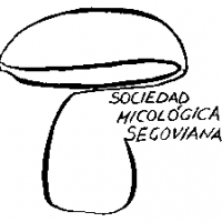 Sociedad Micologica Segoviana | Paseos al campo y divulagción